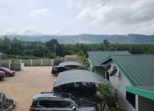 Top 5 Hotels Near Safari Valley Resort—Why Tetra Jungle Lodge is No. 1