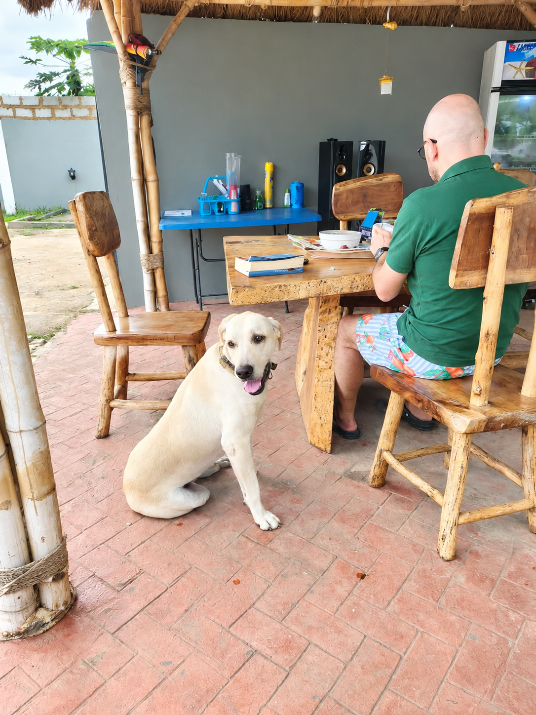 Guest relaxing with a dog in the outdoor patio