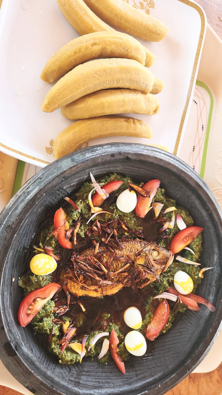 Food from the Tetra Jungle Hotel gallery